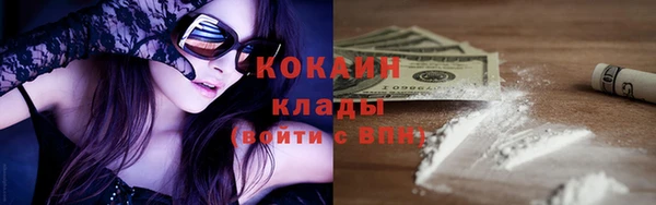прущие грибы Осинники