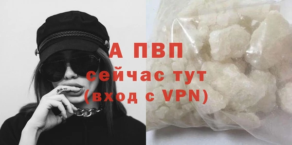амфетамин Белокуриха